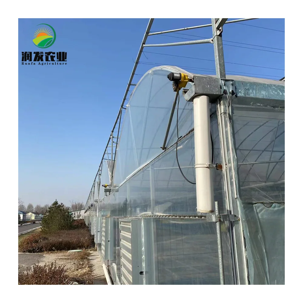 Agricultural Green House Metal Frame Multi-Span Film Greenhouse with Hydroponic and Automatic Irrigation System