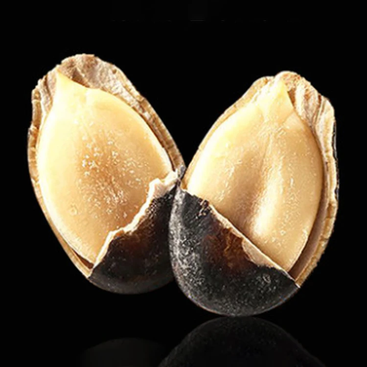  Black Watermelon Seeds Bulk Mini