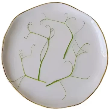 Pea vine Scrapbooking Epoxy Resin Natural Plant Real Pressed Flower DIY