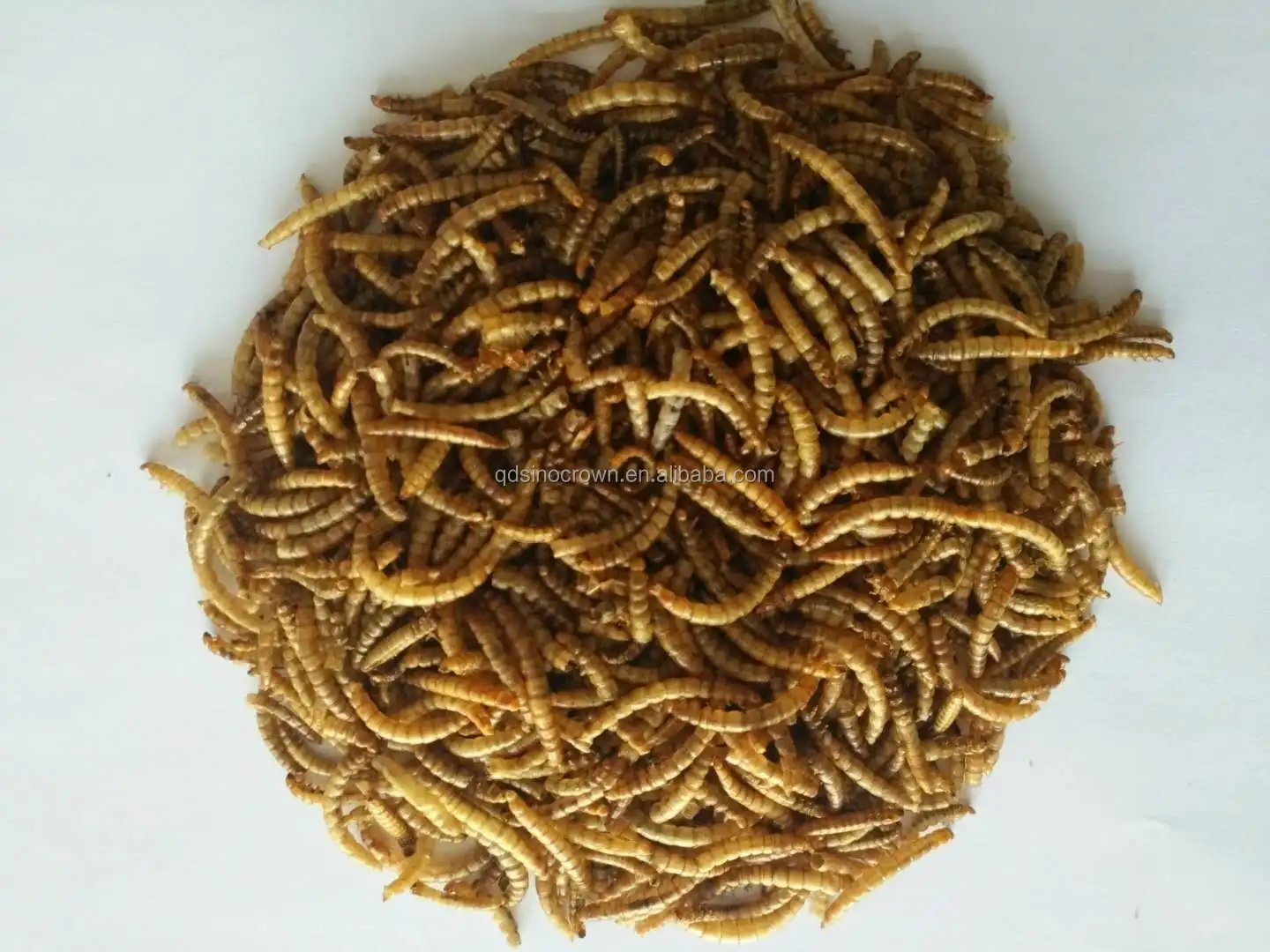 microwaved mealworms