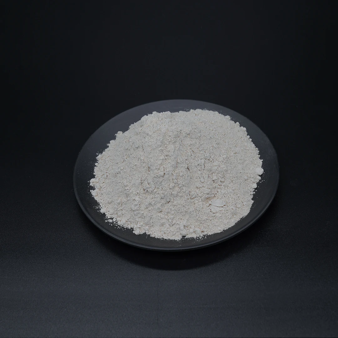 Factory Direct Sale Kieserite MgSO4 Fertilizer Magnesium Sulfate Monohydrate