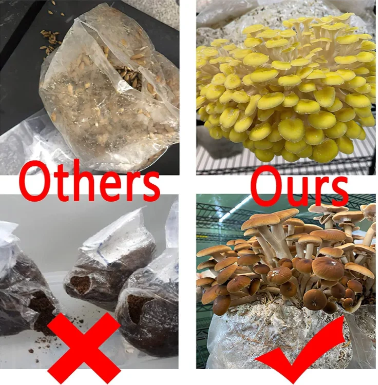 Autoclavable 20*12*50CM 0.2micron filter mushroom grow bags spawn cultivation bags oyster mushroom fruiting bags