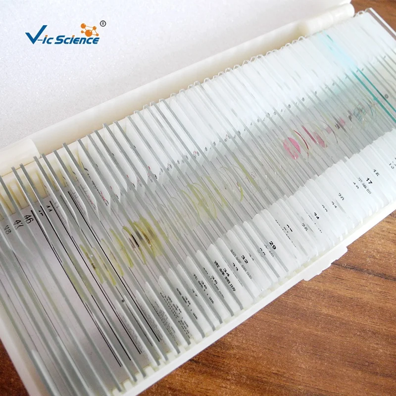 50 Kinds Parasite Slides Set Student Medical Parasitology Prepared Slides