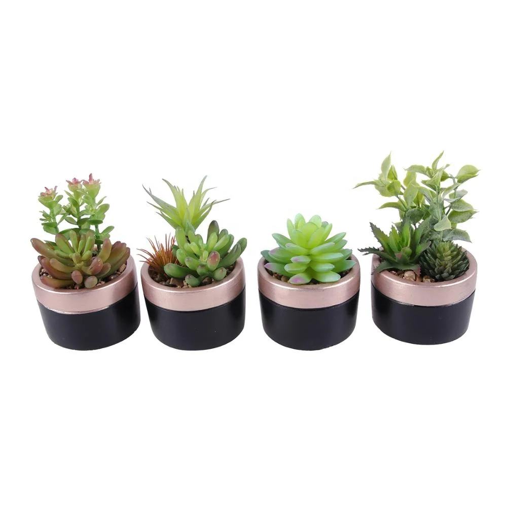 Wholesale bonsai plants artificial mini succulent with round pot