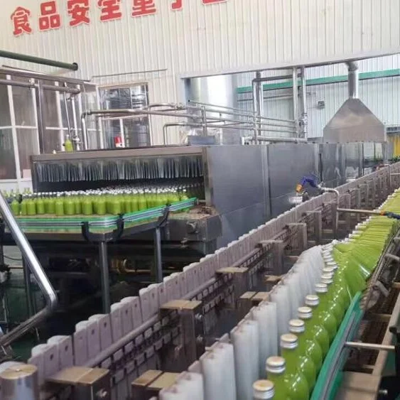 Automatic Aloe Vera juice Making Machine/FC juice processing equipment/line