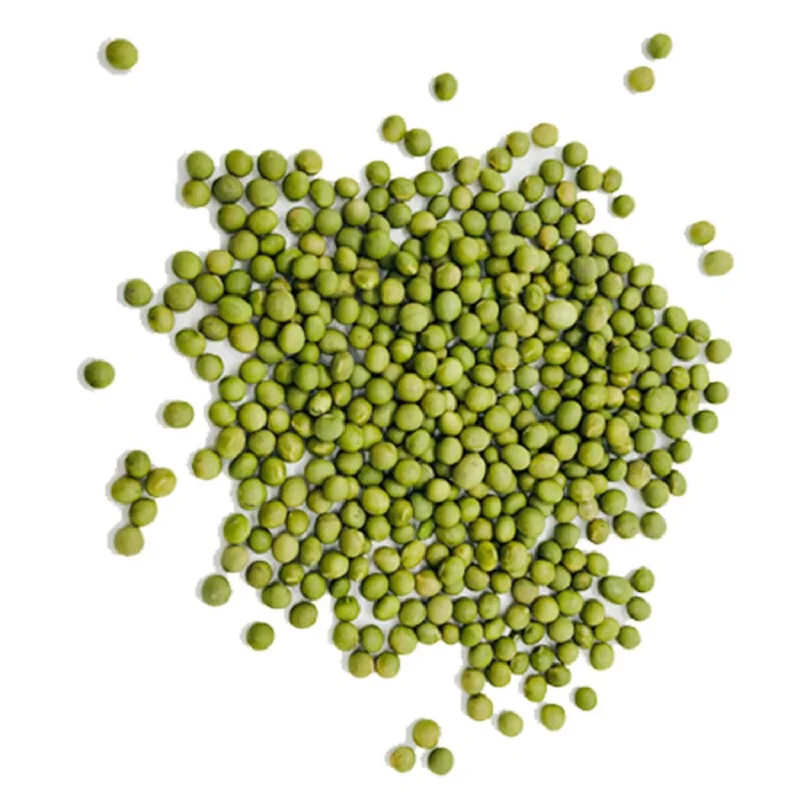 
Supplier non-gm soybean buys high quality organic food grade soybean with high protein 