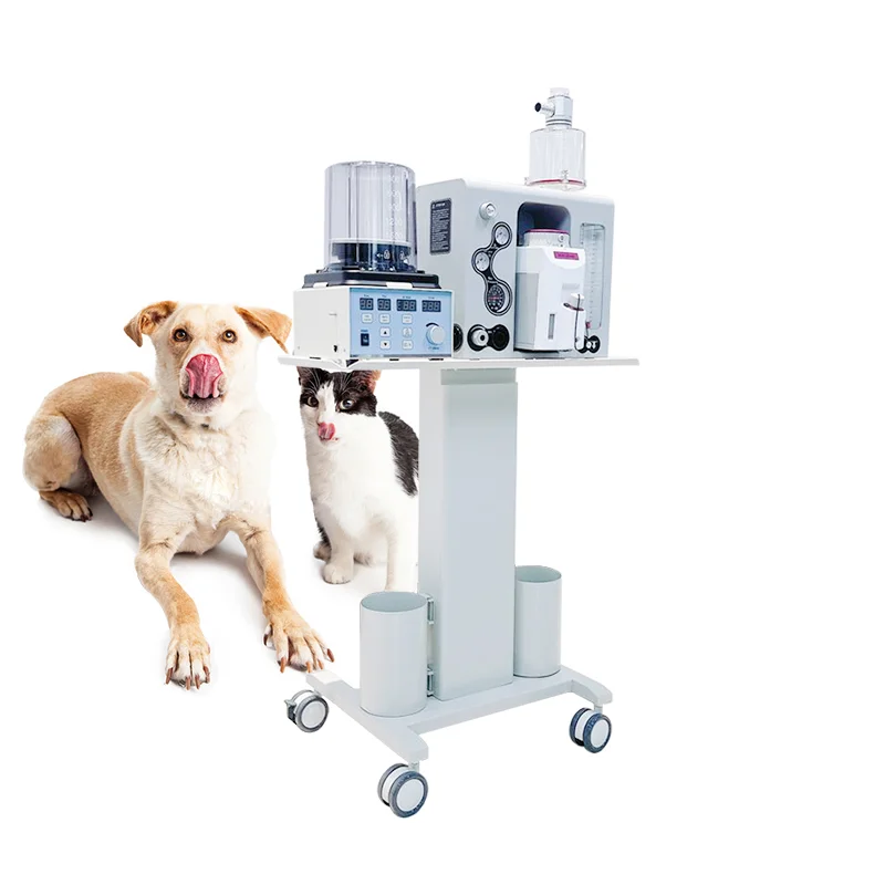 Medical Anaesthesia Machine Portable Maquina de anestesia Hospital Anasthesia machine For Veterinary Anestesia