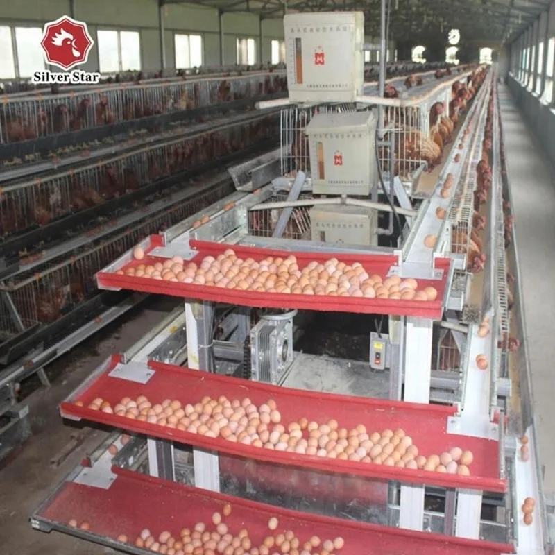 Cheap price poultry farming cage agricultural equipment for layer chicken
