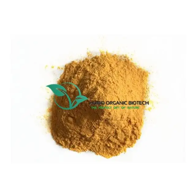 sea buckthorn powder / dried sea buckthorn berries powder for juice