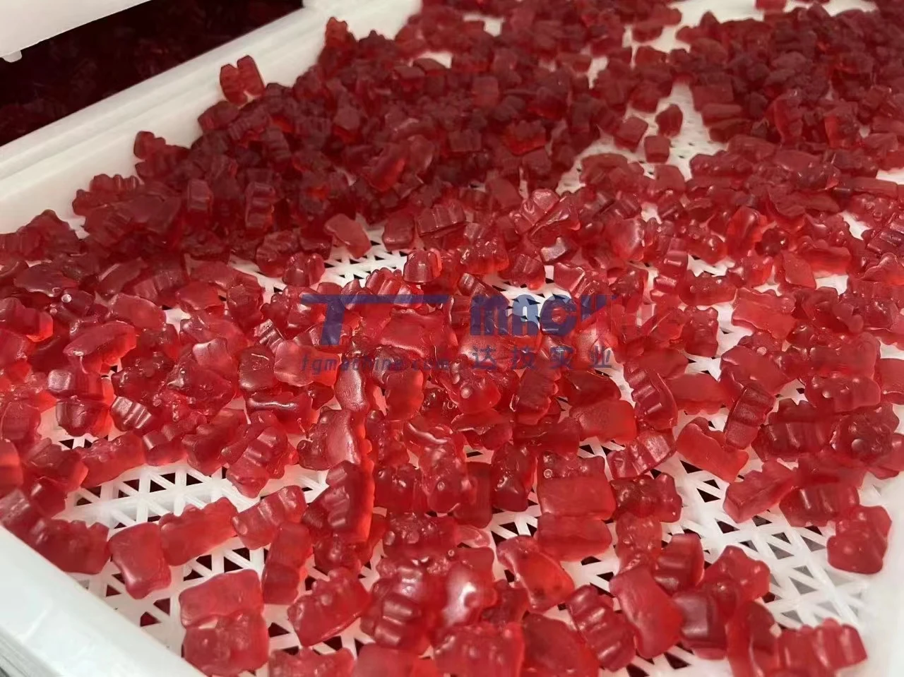automatic advanced Jam-filled jelly candy processing equipment gummy bear candy making depositor machine
