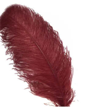 Wholesale High quality Cheap red bulk large ostrich feather