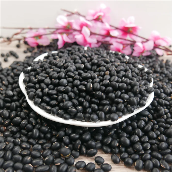 Wholesale High Quality Packing Organic Green Mung Bean Red Black soy Beans