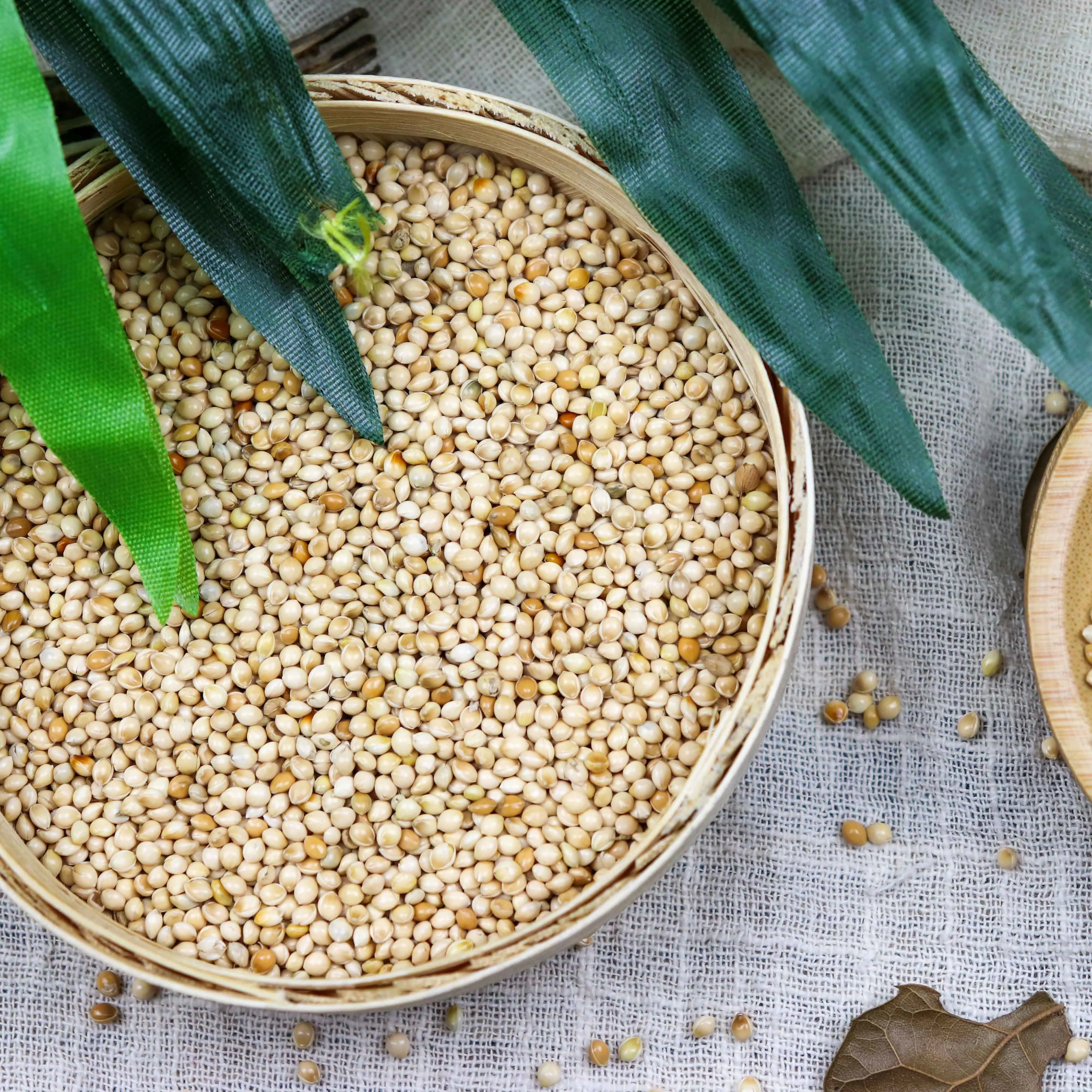 
 Китайский производитель, кормушка для птиц, семена, Органическая соевая мука по цене производителя  