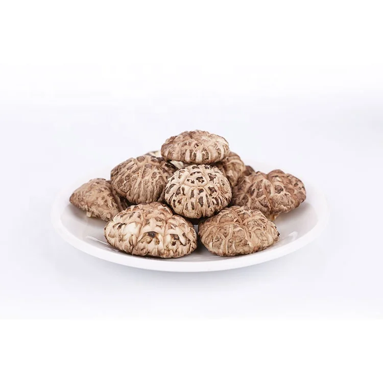 Горячая Распродажа сушеный цветок высшего уровня Shiitake ферма грибов