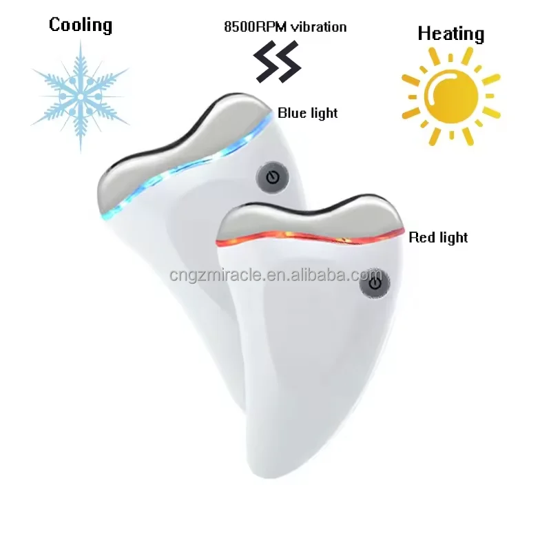 Other Home Use Beauty Equipment Anti Wrinkles Heated and Vibration LED Facial Machine for Skin Tightening Lift,Skin Care Tools