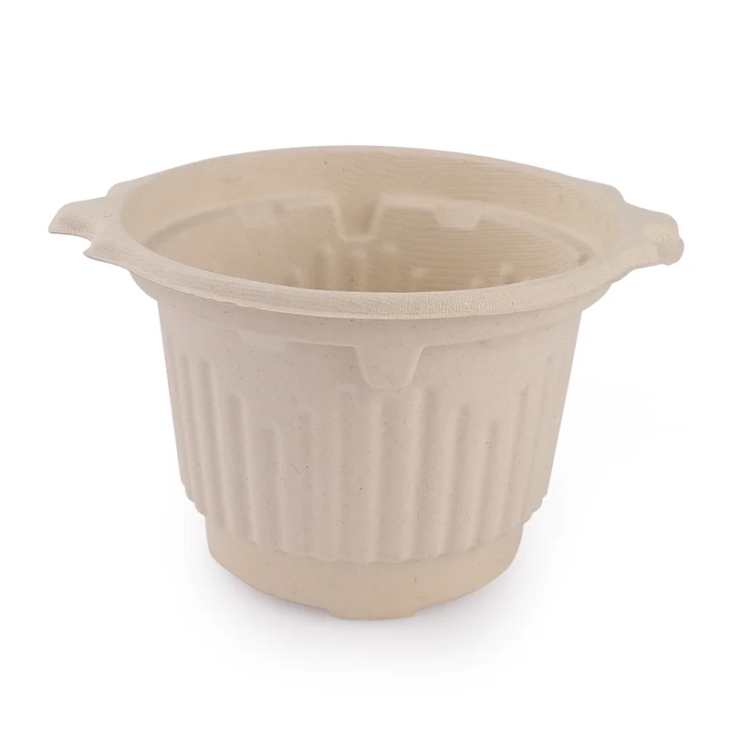 lunchbox biodegradable new biodegradable food container set bento box pulp food container