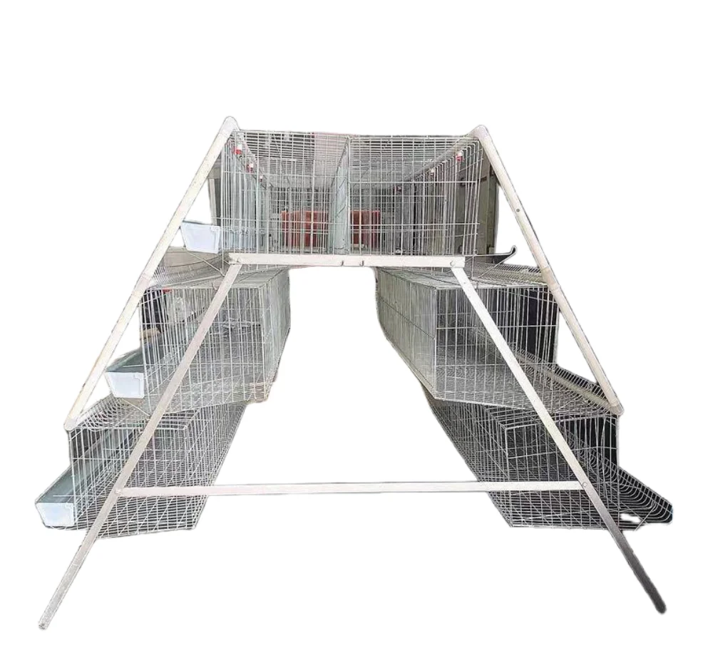 Cheap Agricultural Machinery & Equipment Commercial Chicken Cage a Type Chicken Cage Battery Cage Multifunctional Provided Farms