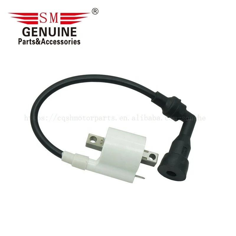 Motorcycle electric parts PULSAR 135 180 XCD125 PLATINO125 DTS-SI pulsar180 ROUSER135 PULSAR135 motorcycle ignition coil