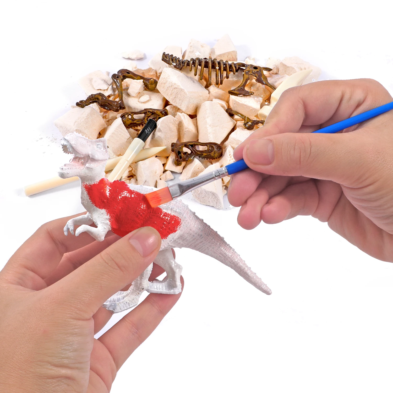 Pianopotato  dinosaur toy Tyrannosaurus digging toy educational toy for kid  dig kit for children