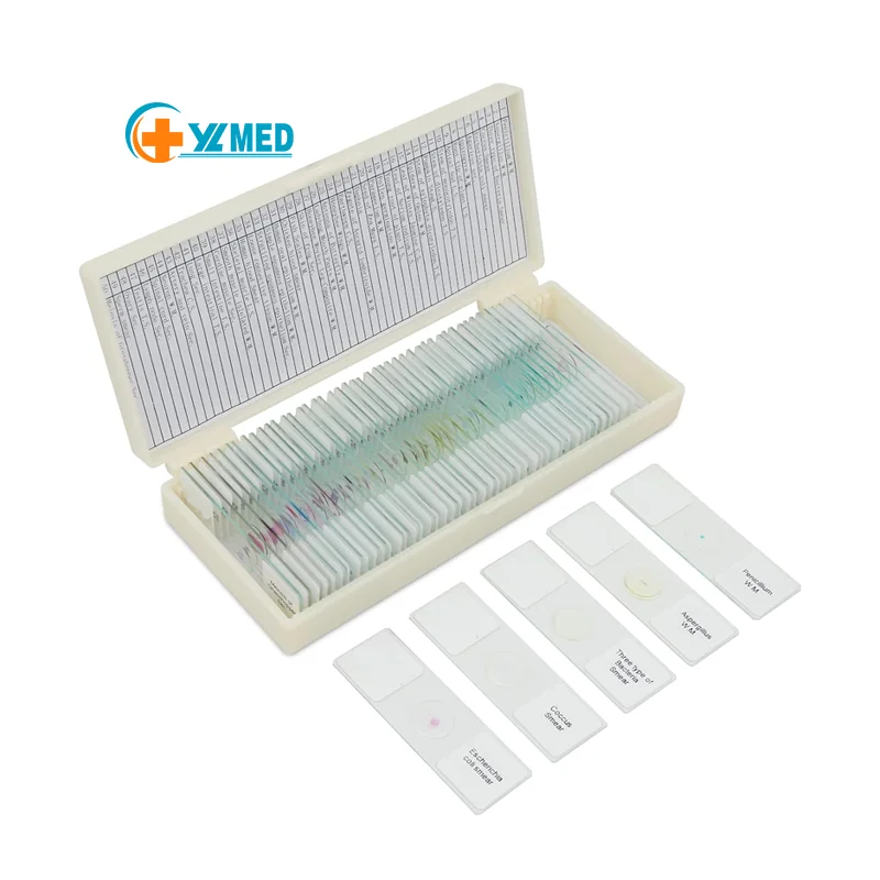 10 Slides Of Biology And Histology Prepared Microbiological Bacterial Specimens Microscope Slide Set with Plastic Box