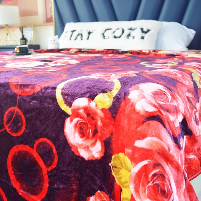 100% Polyester Design Double Printing 220*240 Flannel Blanket