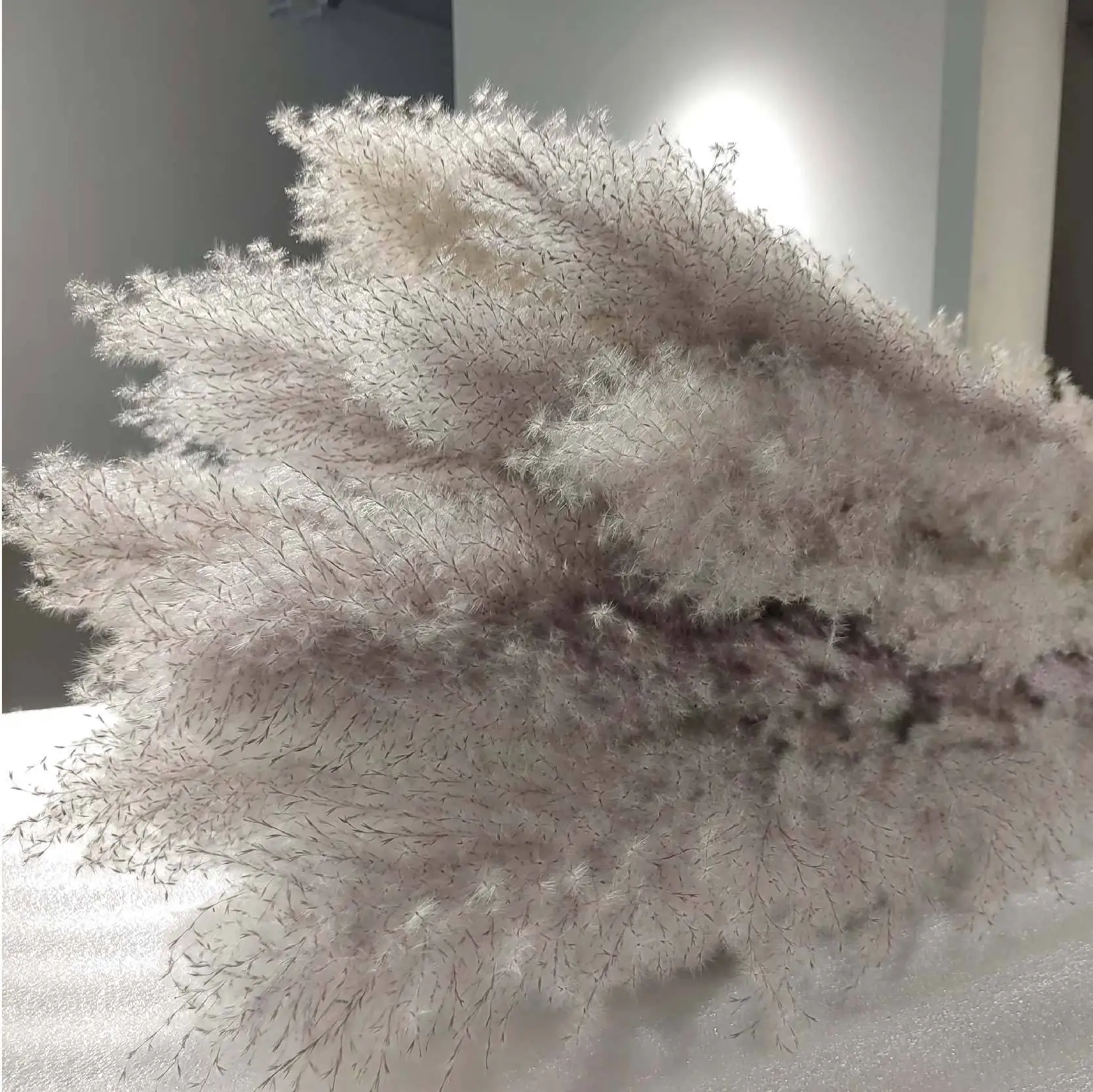 UO new arrivals natural artificial flowers large pampas gray pampas grass dried flower plume size 60cm decorative flowers