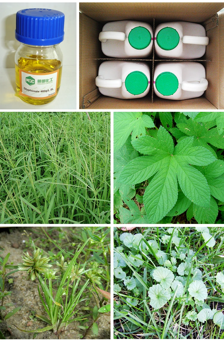 Glyophosate IPA 750.jpg