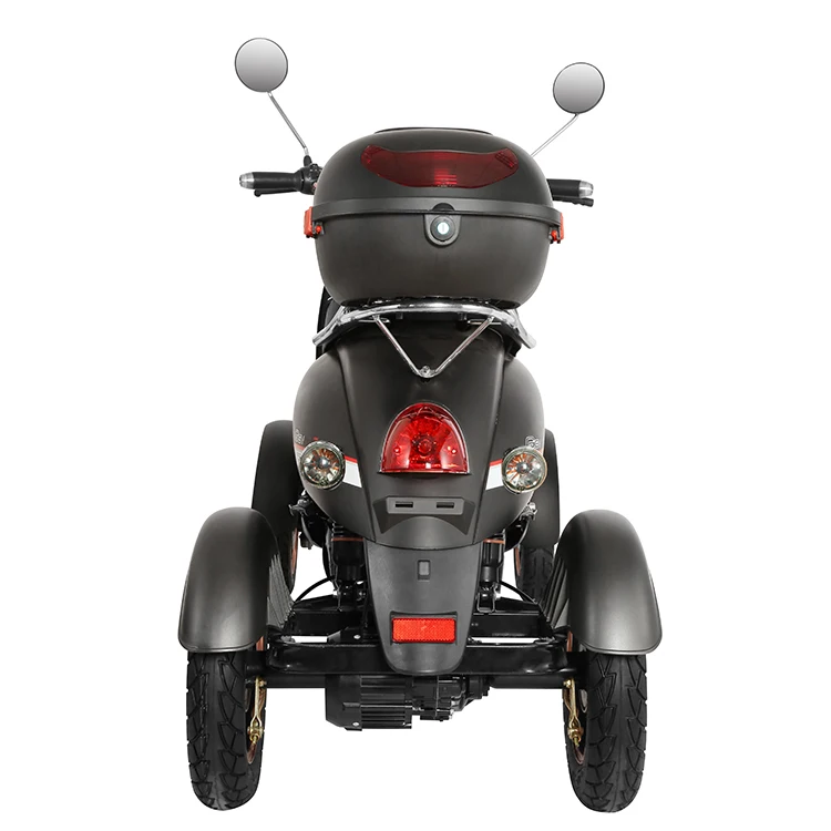 Electric 3 Wheel Trike Scooter Motorcycle Tricycle 2 Seat Electric Trikes 48V 600W Tricycles Foot Hand Brake