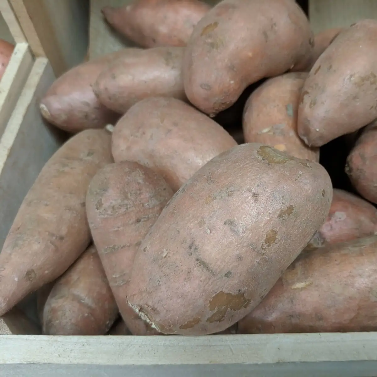 Wholesale High Quality Premium New Season Cheap Price Bulk Organic Fresh Natural Honey Sweet Potato Bulk