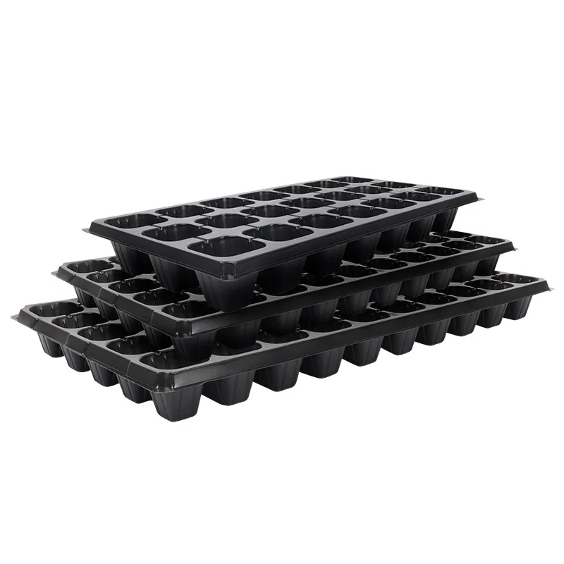 Hot selling watermelon, lemon, and mango seeds cultivation, growth, and blister tray