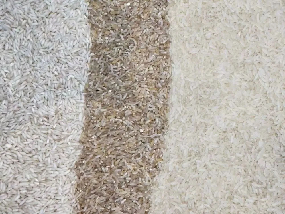 Color Sorting Machine / Long Grain Parboiled Rice Color Sorter / Rice Color Sorter Machine 4T/H