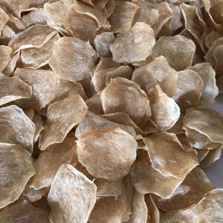 DRIED FISH MAW/ PANGASIUS FISH MAW /CATFISH MAW FROM VIETNAM (Mr. Kevin +84 968311314)
