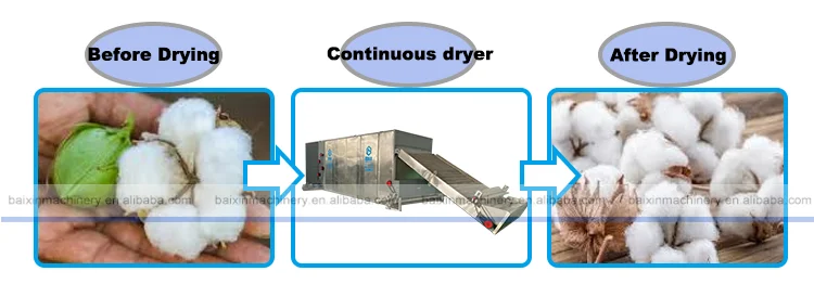 Tunnel Continuous Fruit Dehydrator Mesh Belt Dryer Cotton Drying Machine