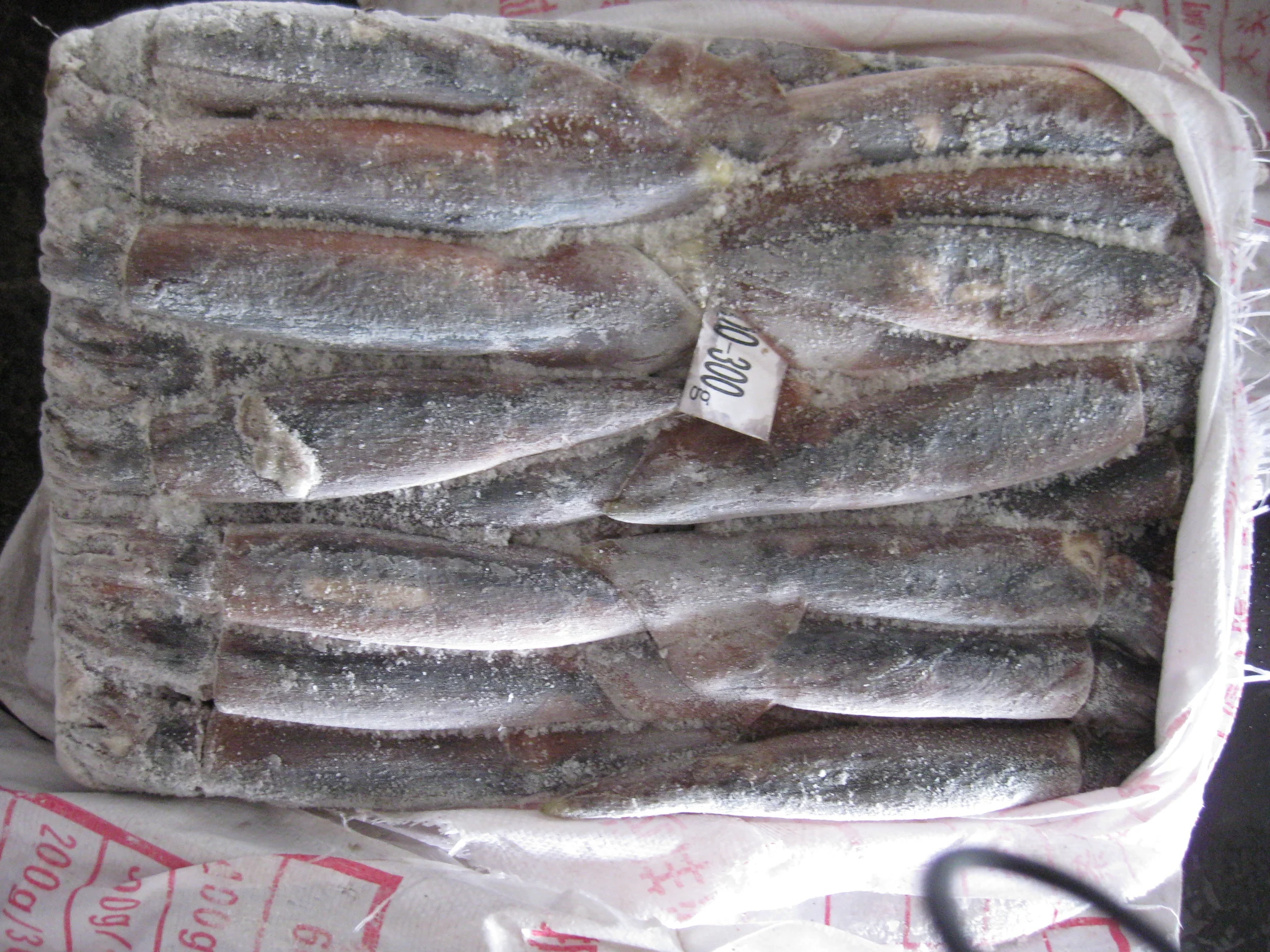 Factory hot sale product high quality healthy seafood fresh calamari frozen squid