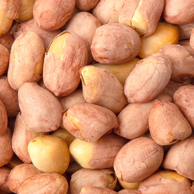 Factory Supply Fascinating Price Hot Selling Low Cost High Quality Peanuts at Cheap Best Price