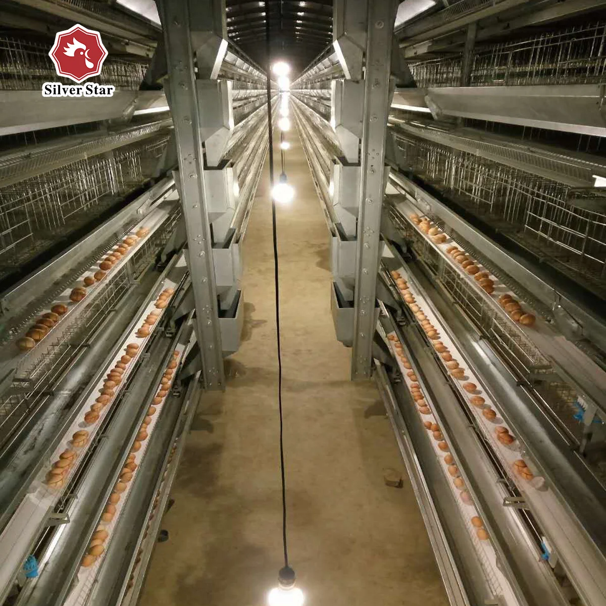 Оборудование для птицеводческой клетки нового типа для фермы