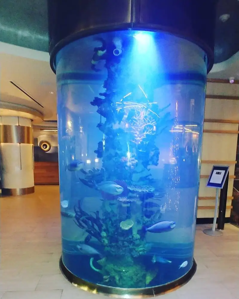 A&C Manufacturer Price 500mm  600mm 700mm 800mm Clear Large Diameter Acrylic Tube Cylinder