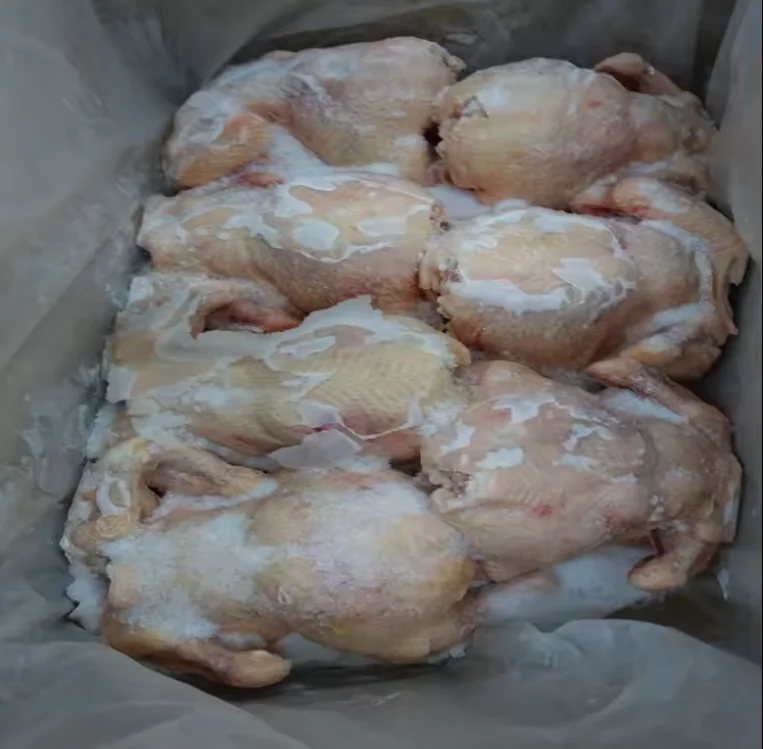 China factory price Perfect Premium Grade Frozen Whole Chicken  Quality  Frozen Whole Chicken and Parts Frozen Whole Chick
