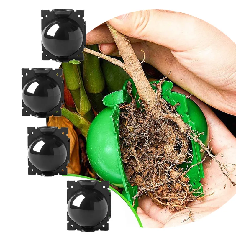Plant High Pressure Propagation Ball Trees Grafting Rooting Device Agricultural Gardening Planting Supplies Seedling Rooting Box