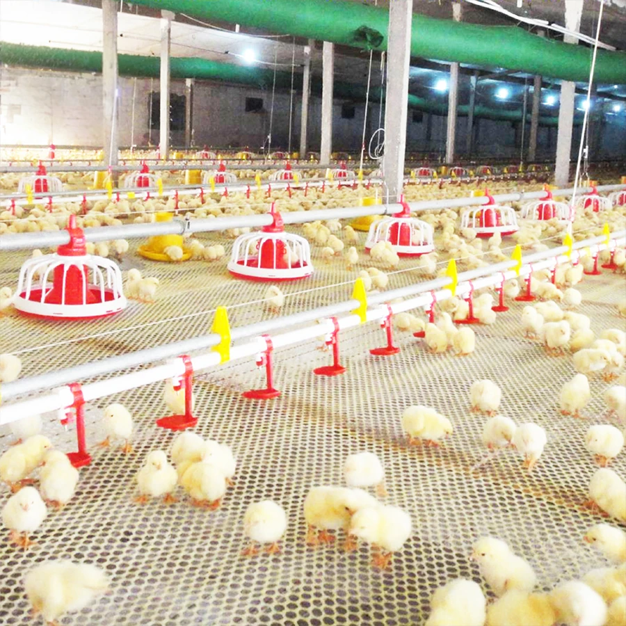 Chicken Nipple Drinker Water Pipe Poultry Drinkers Watering Cups chicken drinking Tools Automatic chicken drinking line system