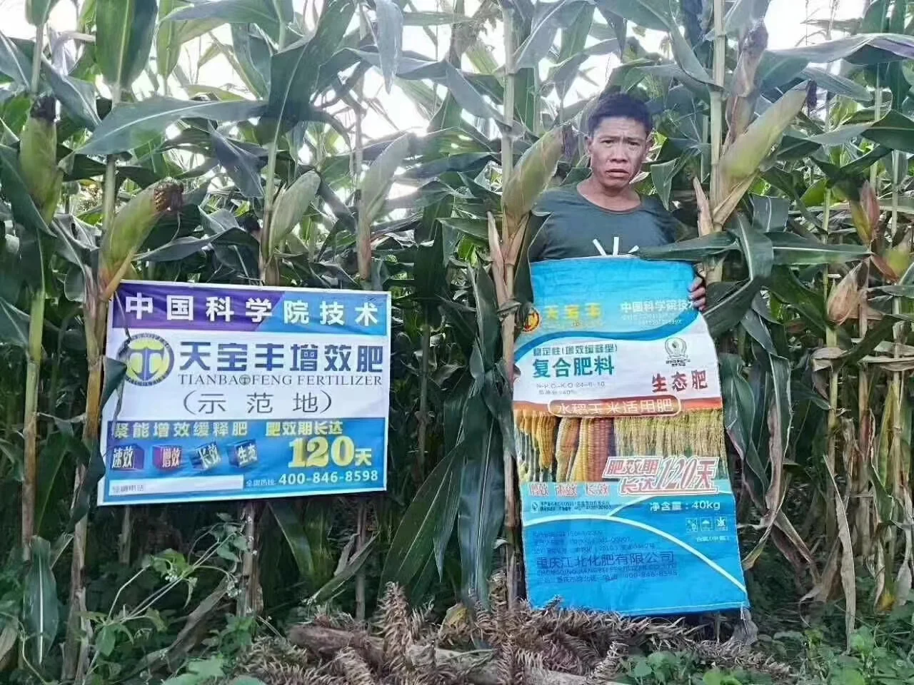 24-6-10 npk fertilizer.jpg