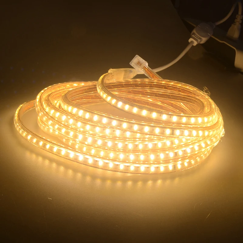 
navidad 2020 SMD 3014 rgb Led Strip lights AC220V 120leds/M IP67 Waterproof Outdoor Garden Tape Rope Light luces de navidad 