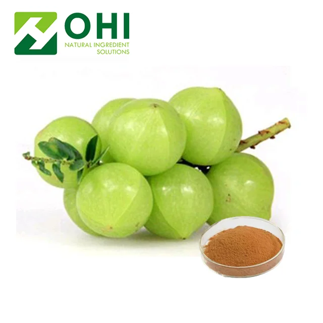 Nutritional Supplement Phyllanthus Emblica Extract Supplier tannins Yellow Mesh custom made Packaging