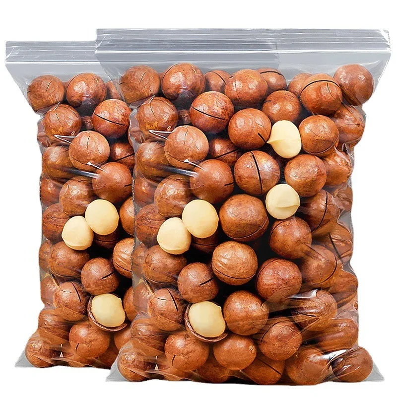 China New Crop Original Flavor  vietnam raw macadamia nuts in shell