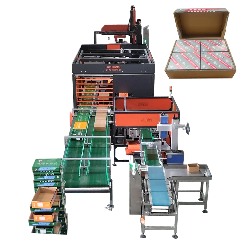 Up and bottom cover box fill in carton system box filling machines carton packing line manufacturer price