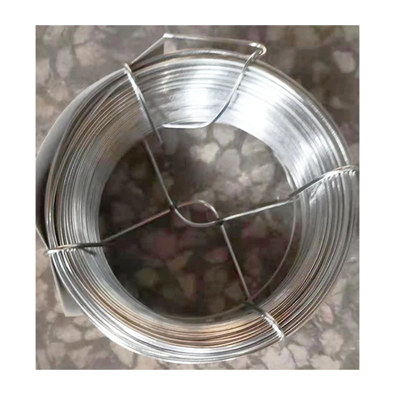Top quality electro galvanized iron wire 0.55mm