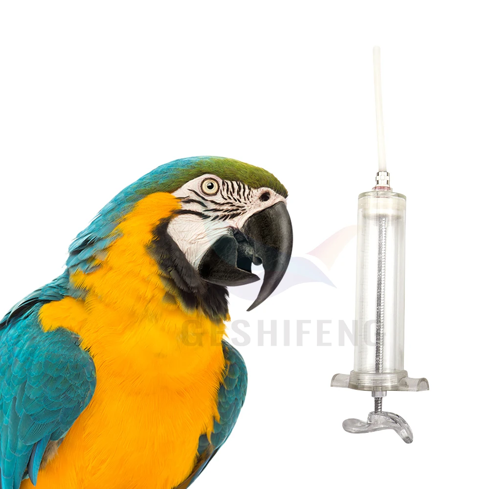 Plastic Syringe Veterinary Injection Feeding Bird Needle Veterinary Animal Parrot Curved Syringe