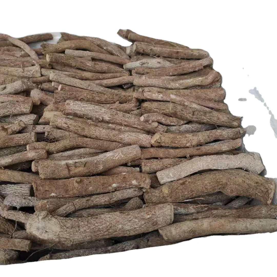 Chinese pavement tree segments fresh live Paulownia roots for hot sale
