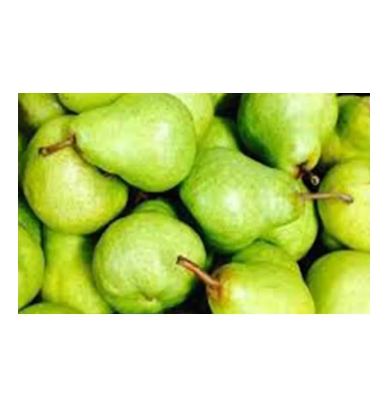  Южная Африка супер качество свежие PACKHAM TRIUMPH PEARS оптовая