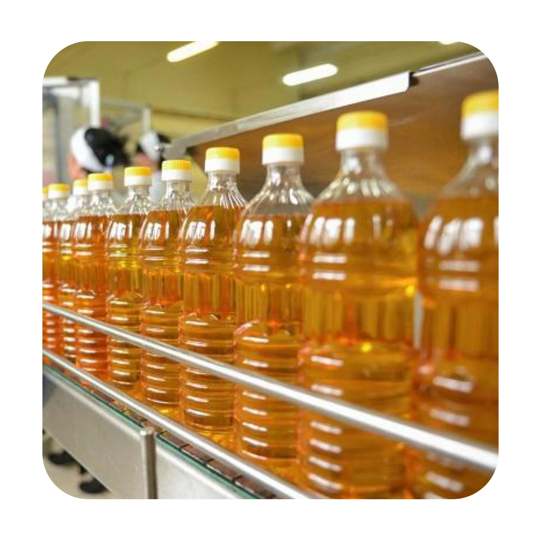 
High quality bottled sunflower oil for cooking and food production, from manufacturer 